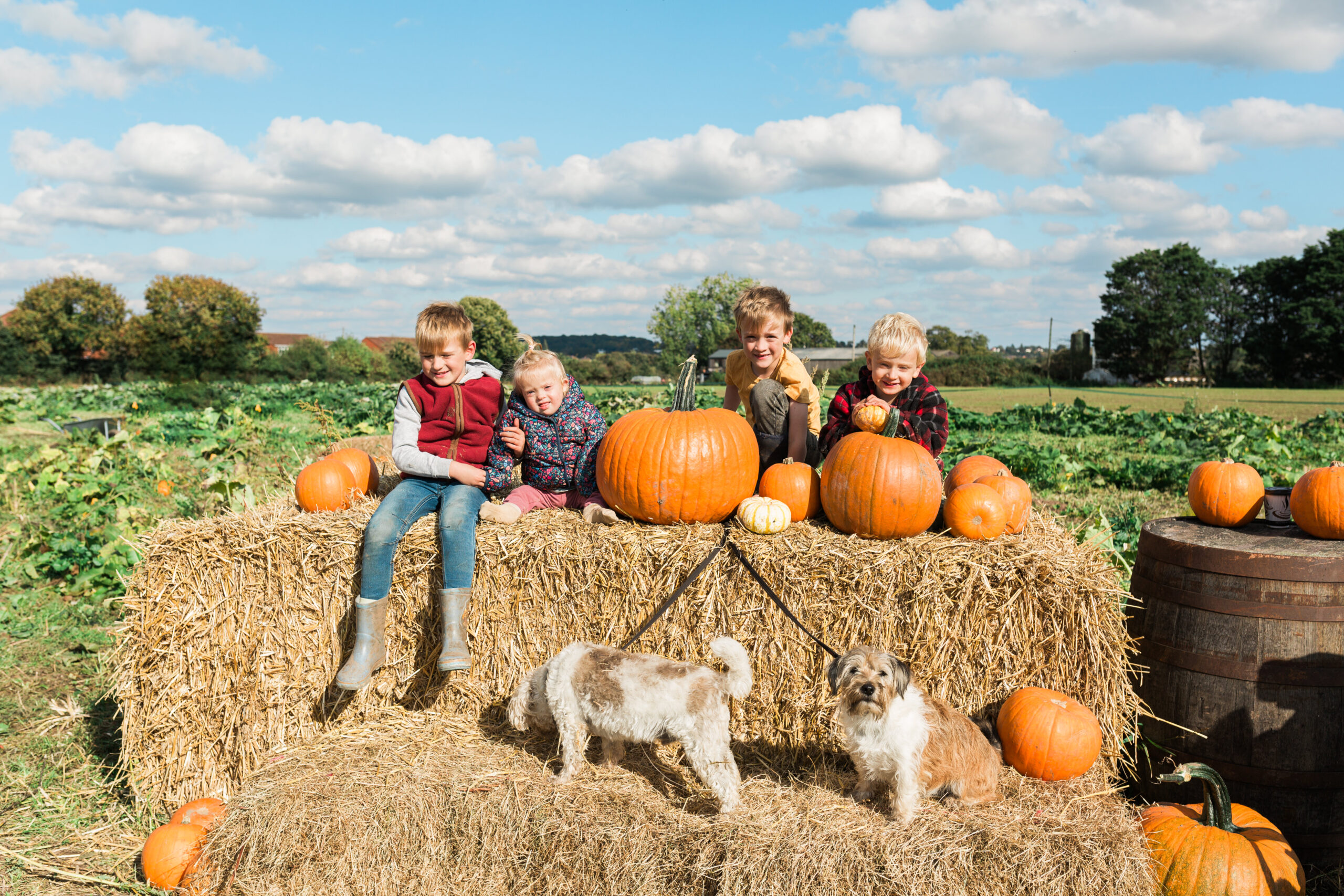 Family at a Pumpkin Patch West Midlands