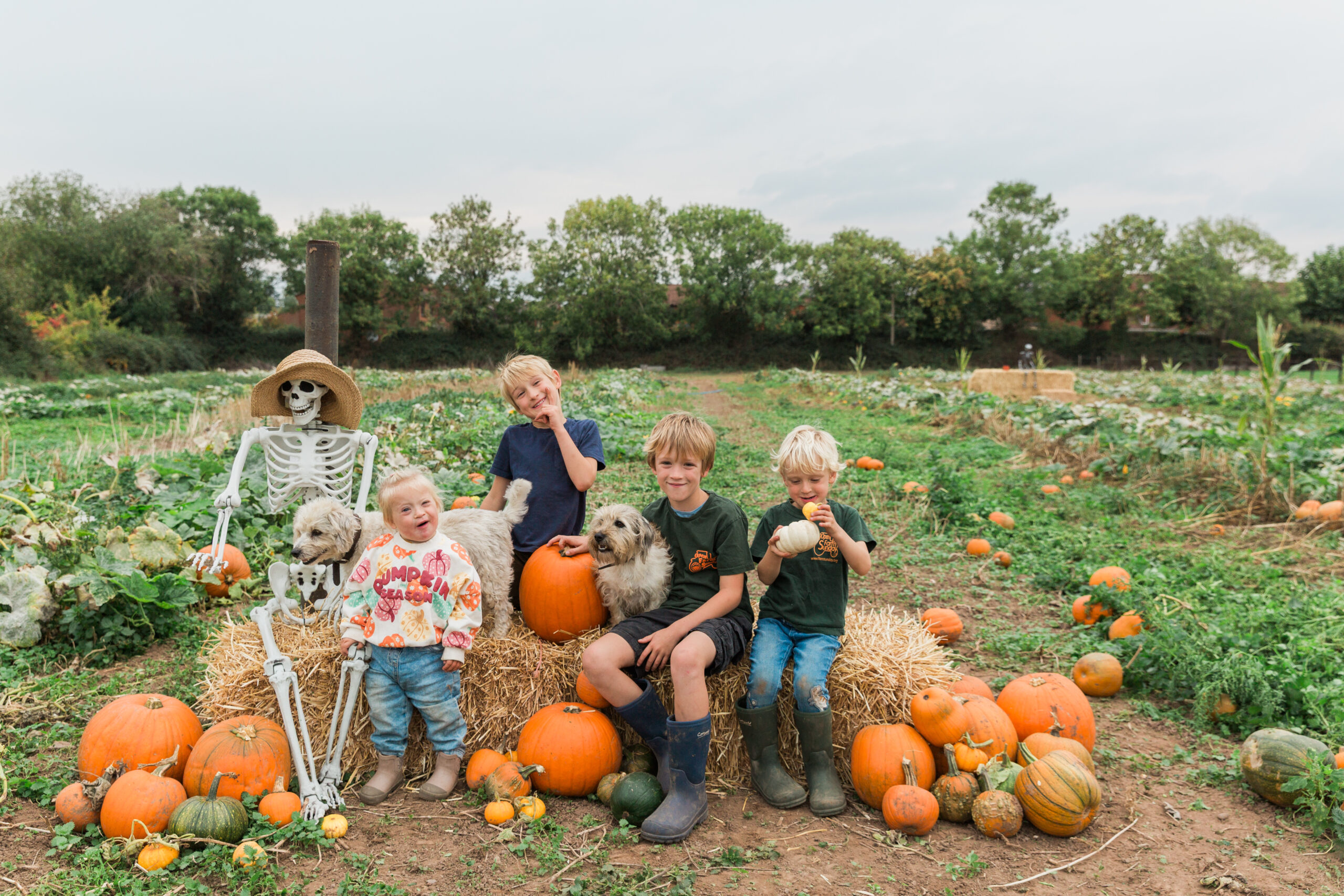 Family Pumpkin Picking in Worcestershire