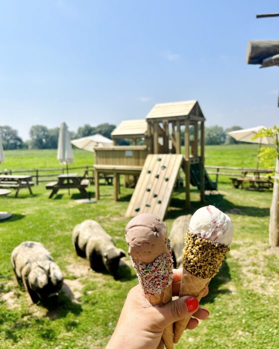 Ice creams in our cafe garden